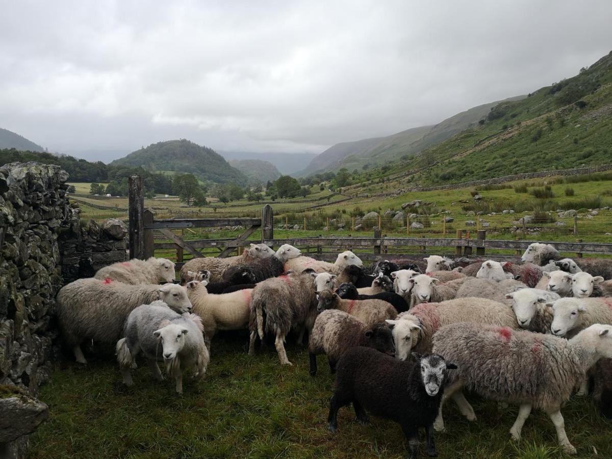 Thirlmere Stybeck Farmヴィラ エクステリア 写真