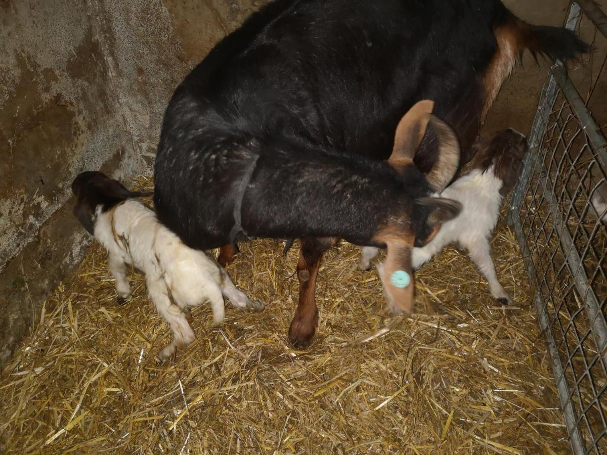 Thirlmere Stybeck Farmヴィラ エクステリア 写真