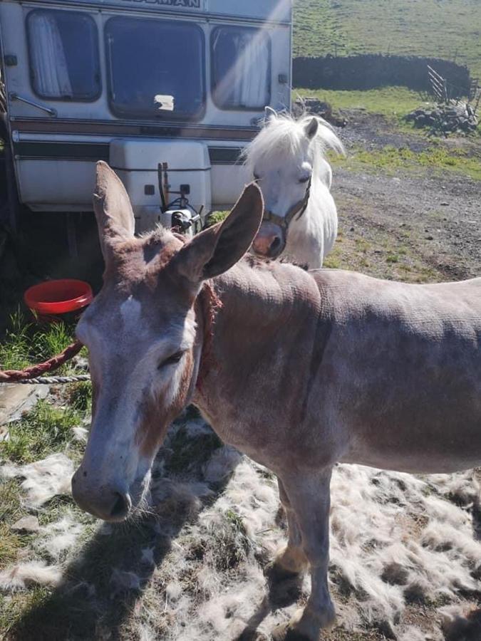 Thirlmere Stybeck Farmヴィラ エクステリア 写真