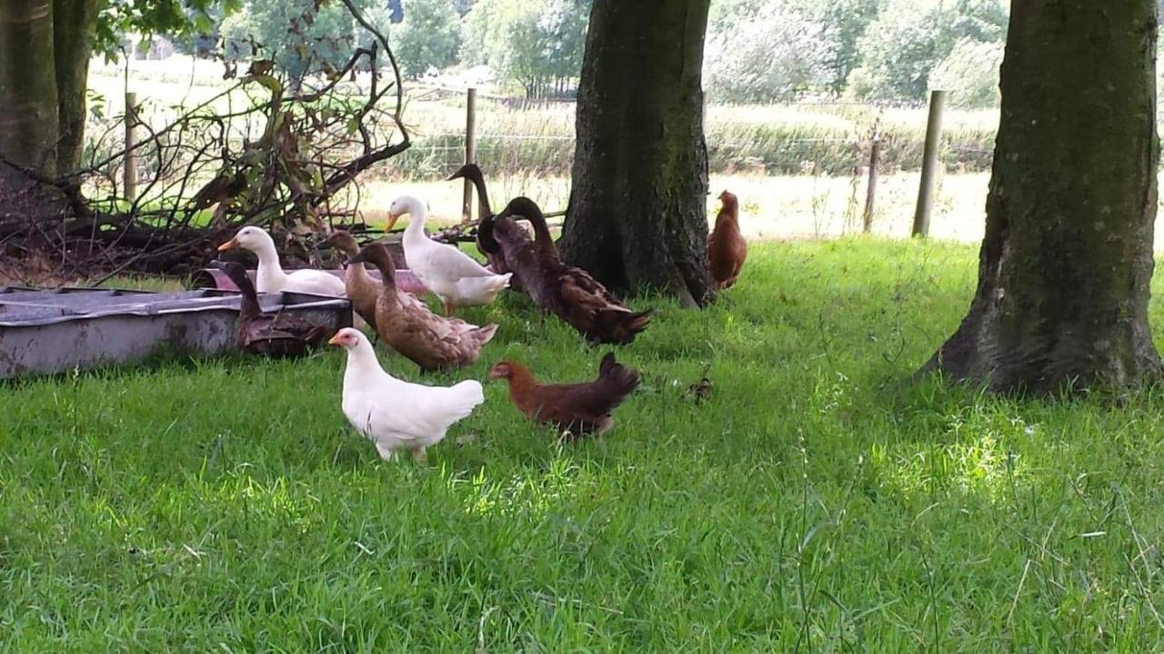 Thirlmere Stybeck Farmヴィラ エクステリア 写真